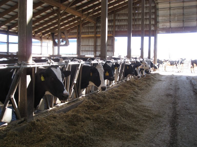 KKYDP 11. Etap Uygulama Rehberi ve Ekleri yayınlanmıştır