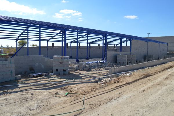 Büyükbaş hayvancılık hibe