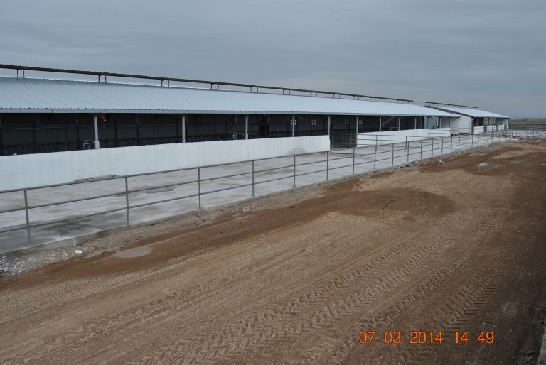 DAP, GAP,KOP, DOKAP Kapsamındaki İllerde Hayvancılık Yatırımlarına Hibe Desteği