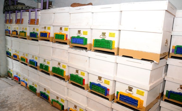 Hayvancılık Yeni Hibe Desteği 2017 – 2019 Yıllarında Uygulanacak