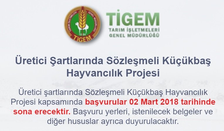 300 Küçükbaş Hibe Projesi (TİGEM)