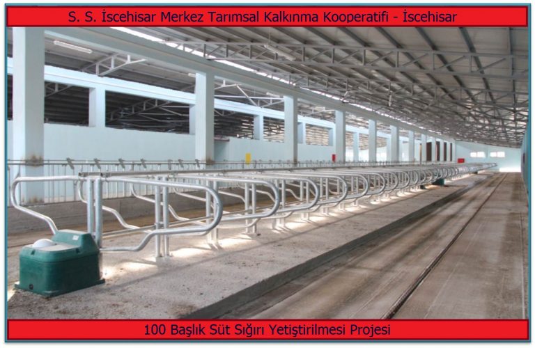 En fazla TKDK Hibesi Süt Üretimi Projelerine