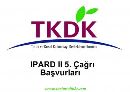 tkdk 5. hibe proje çağrısı