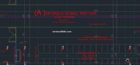 480 Başlık Süt Sığırcılığı Projesi - Görsel 2