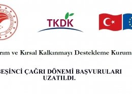 5.çağrı dönemi