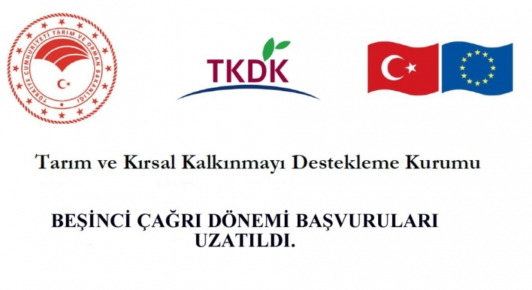 5.çağrı dönemi