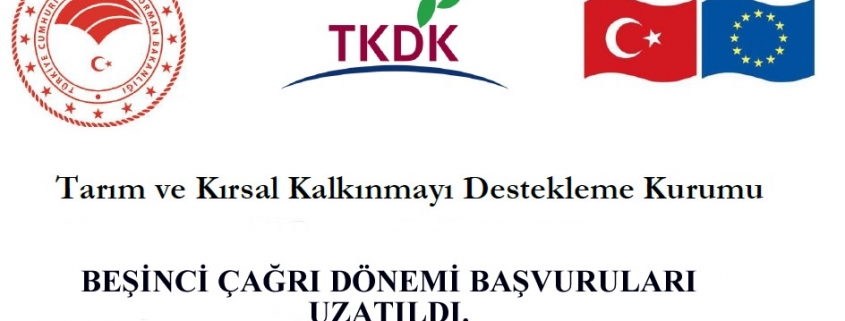 5.çağrı dönemi