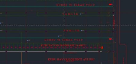 120 büyükbaş süt hayvancılığı projesi