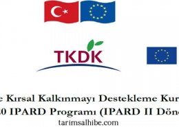 tkdk 9 çağrı ilanı