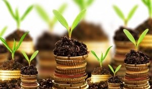 Hibe Proje danışmanlığı
