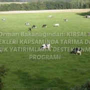 kkydp
