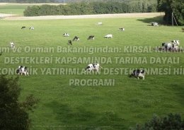 kkydp
