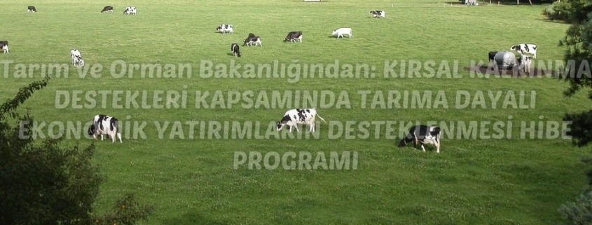 kkydp