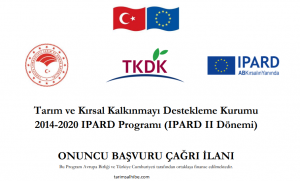 tkdk-hibe