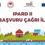 tkdk-hibe