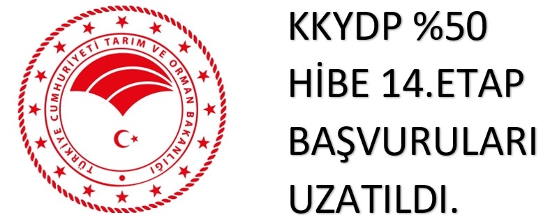 14.etap