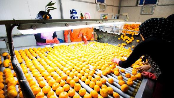 Bitkisel Ürünler İşleme Tesislerine hibe