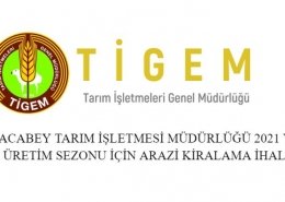 karacabey tigem