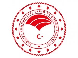 KKYDP Proje danışmanlığı