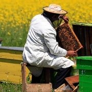 Arıcılık Hibe Desteği