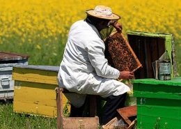 Arıcılık Hibe Desteği