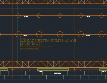 kaz-ciftligi-mimari-projesi