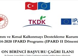 11.tkdk-hibe