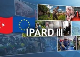 IPARD-3